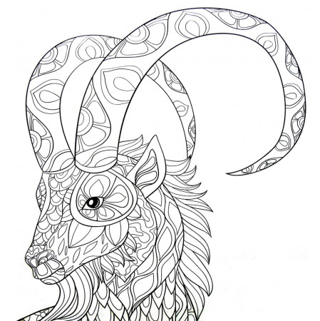 Zodiac Signs Coloring Pages | WONDER DAY — Coloring pages for children and  adults