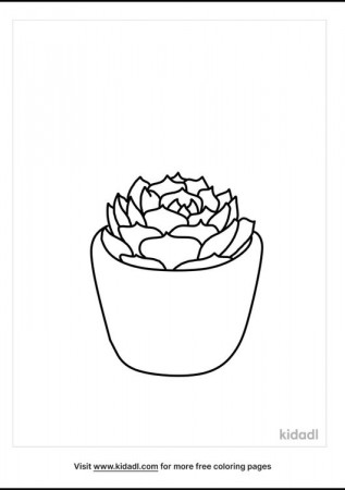 Succulent Coloring Pages | Free Plants Coloring Pages | Kidadl