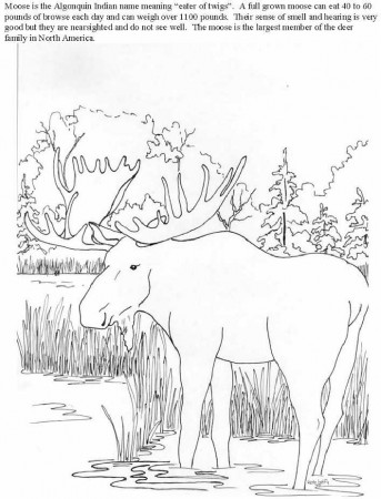 11 Pics of Elk Hunting Coloring Pages - Bull Elk Clip Art, Rocky ...