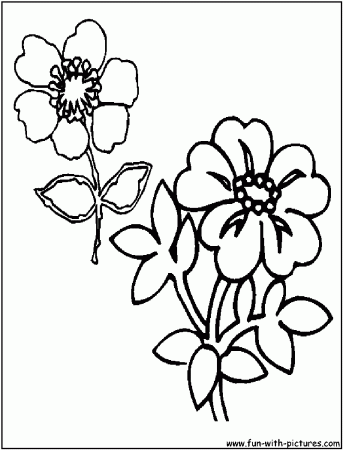 Wildflowers Coloring Page