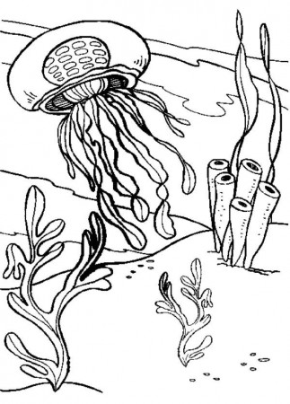 Jelly Fish | Free Coloring Pages on Masivy World