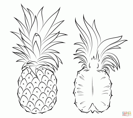 Pineapples coloring pages | Free Coloring Pages