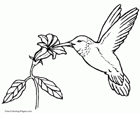 Printable coloring pages of birds