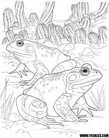 Toad Coloring Page by YUCKLES!