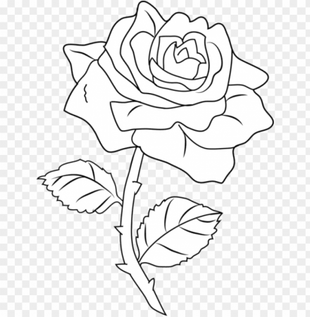 retty rose coloring page - roses outlines PNG image with transparent  background | TOPpng