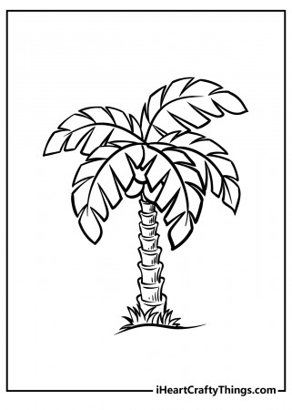 Printable Palm Tree Coloring Pages (Updated 2022)