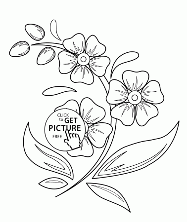 Flowers coloring pages for kids, printable free