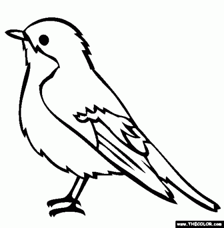 Bird Online Coloring Pages | Page 1 | Bird coloring pages, Bird outline,  Bird drawings