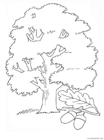 Oak Tree Coloring Pages Tree Nature oak tree 4 Printable 2021 575  Coloring4free - Coloring4Free.com