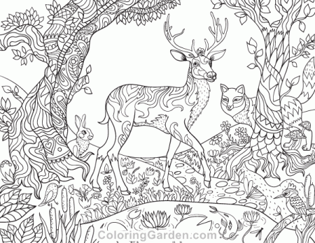 Forest Coloring Pages Ideas - Whitesbelfast.com