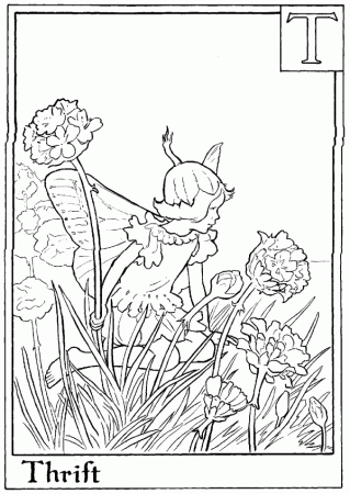 Letter T For Thrift Flower Fairy Coloring Page - Alphabet Coloring ...