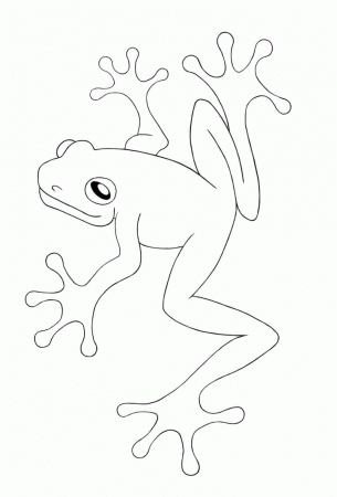 Frogs - Coloring Pages for Kids and for Adults