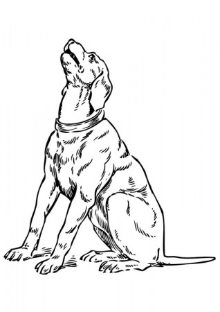 Coloring Page Howling Dog - free printable coloring pages
