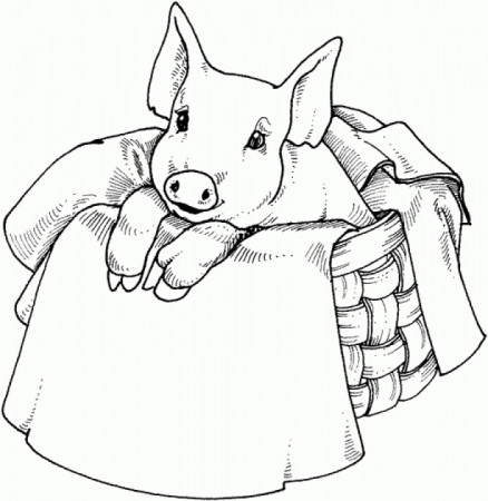Get This Cute Pig Coloring Pages 83nl1 !