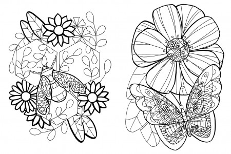 Coloring pages. Flowers and insects By Olga's watercolor | TheHungryJPEG
