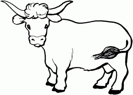 coloring page cow - Coloring Pages Ideas