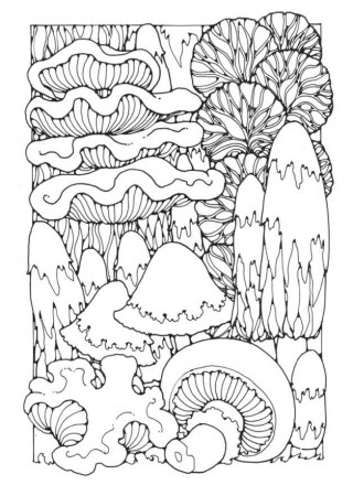 The best free Fungi coloring page images. Download from 22 ...