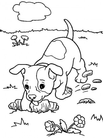 Pin on Pets Coloring Pages