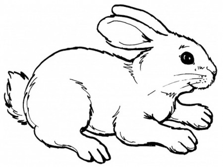 Easter Bunny Coloring Cut Out for Pinterest