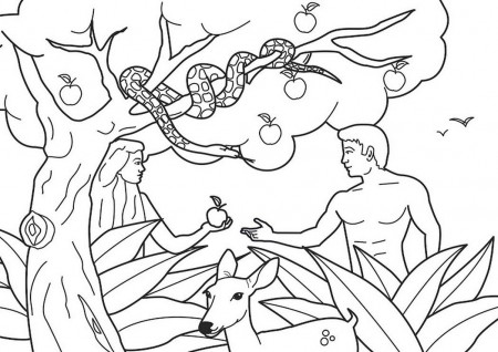 bible-coloring-pages-for-adam-and-eve-273418 Â« Coloring Pages for ...