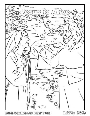 Bible Coloring Time | Bible Coloring Pages, Coloring ...