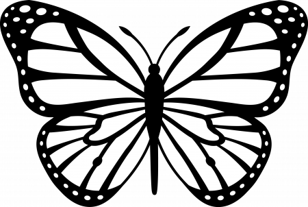 Butterfly Outline Picture Clipart - Free to use Clip Art Resource