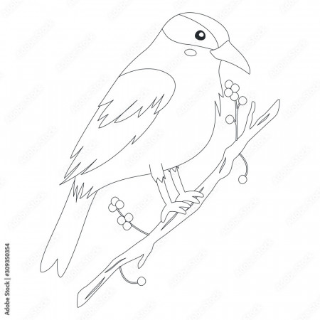 Bird of Indonesia coloring page, Kepodang Emas bird (Black-naped oriole)  perching on a tree branch. Exotic Indonesian bird cartoon vector. Coloring  page for kids template. Stock Vector | Adobe Stock