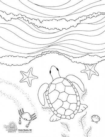 Printable Outer Banks Coloring Pages from Carolina Designs
