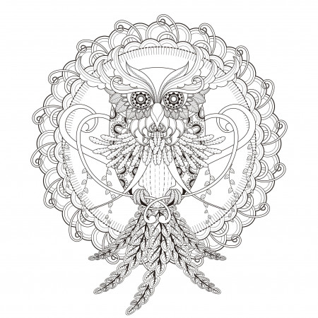 Owl in a magnificent Mandala - Mandalas with animals - 100% Mandalas Zen &  Anti-stress