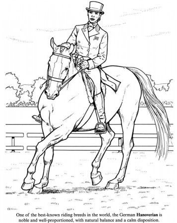 Welcome to Dover Publications | Horse coloring pages, Horse coloring, Horse  drawings