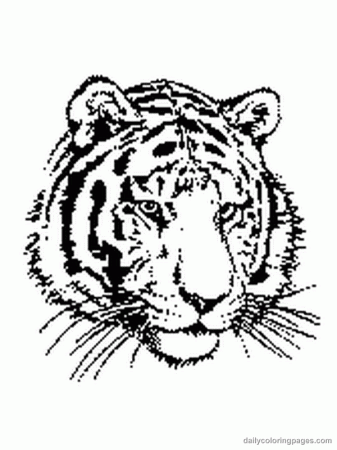 Tiger coloring pages | Animal coloring pages | #2 Free Printable ...