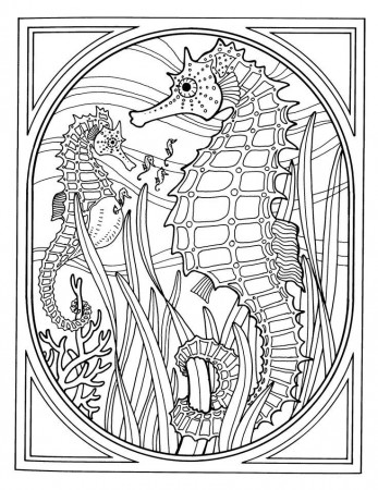 Best Photos of Seahorse Coloring Pages For Adults - Seahorse ...