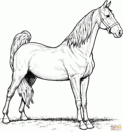 Grazzing Mare Horse and Filly coloring page | Free Printable ...