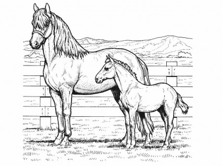 Coloring Pages Animals Horses - Coloring Page