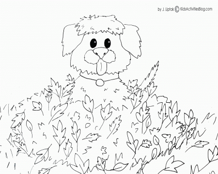 Fall Pumpkin Coloring Pages - Colorine.net | #6604