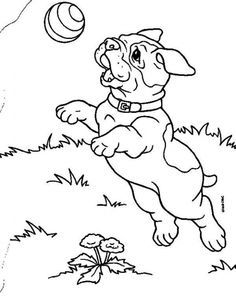 Bulldog Colouring Pages - Coloring Pages for Kids and for Adults