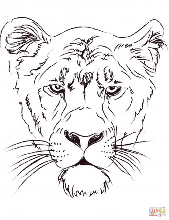 Lioness Head Coloring Page Free Printable Pages Lion Cute Bloody Fierce  White App Painting The Face Colorful Animated King Cub — oguchionyewu