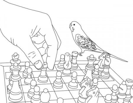 Playing Chess with Parakeet Coloring Page | Coloring pages, Animal coloring  pages, Parakeet colors