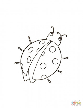 Little Ladybird coloring page | Free Printable Coloring Pages