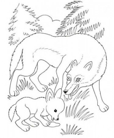 25 Free Wolf Coloring Pages Printable