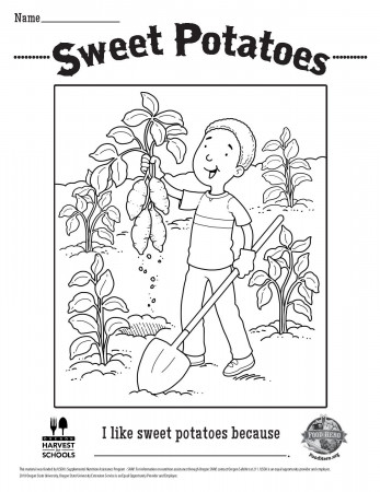 FREE Coloring Sheet - Sweet Potatoes | Fall coloring pages, Coloring pages,  Free coloring sheets