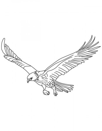 Coloring Pages Birds Flying - Coloring Page