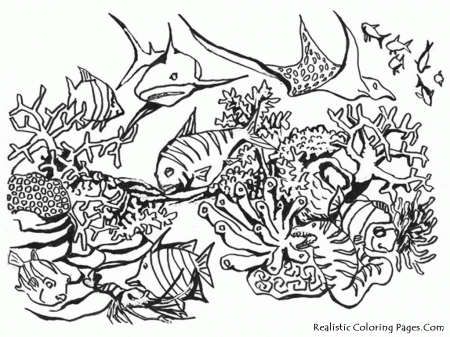 10 Pics of Realistic Underwater Scene Coloring Pages - Underwater ...