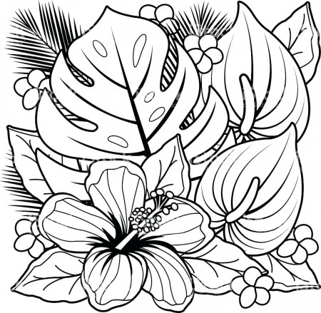 Coloring Book : Beautiful Flowering Pages Forlts Picture ...
