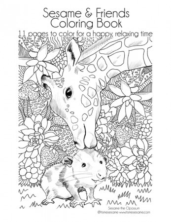 Printable Coloring Pages - Sesame the Opossum