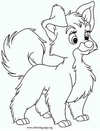 Dogs and Puppies - A lovely dog coloring page