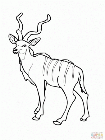 African Woodland Antelope Kudu Coloring Online Super Coloring 