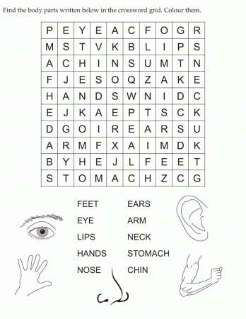 Find the body parts written below in the crossword grid | Download 