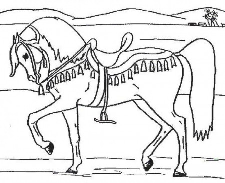 Arabian Horse Coloring Pages - HD Printable Coloring Pages