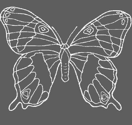 Butterfly With Wings Of A Very Beautiful Coloring Pages 